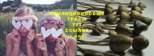 гашик Армянск