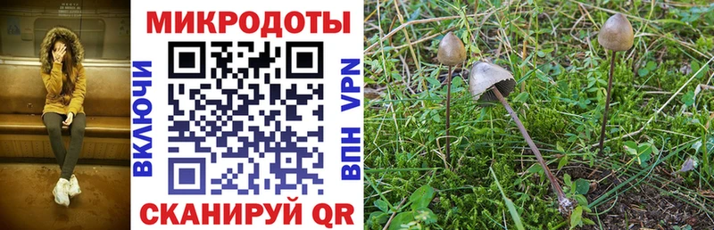 Галлюциногенные грибы прущие грибы Пудож