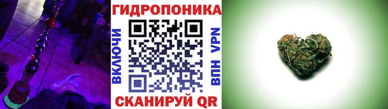 Шишки марихуана SATIVA & INDICA  Купить где  Пудож 